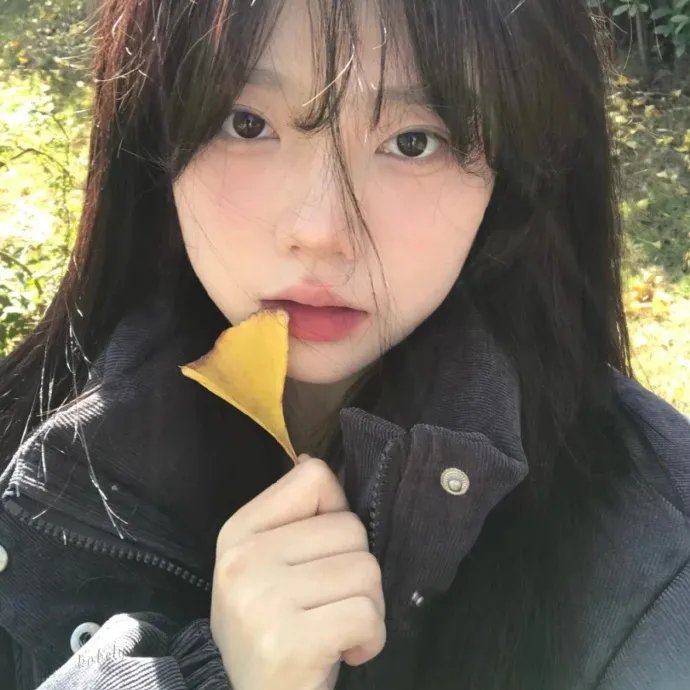 红项圈
